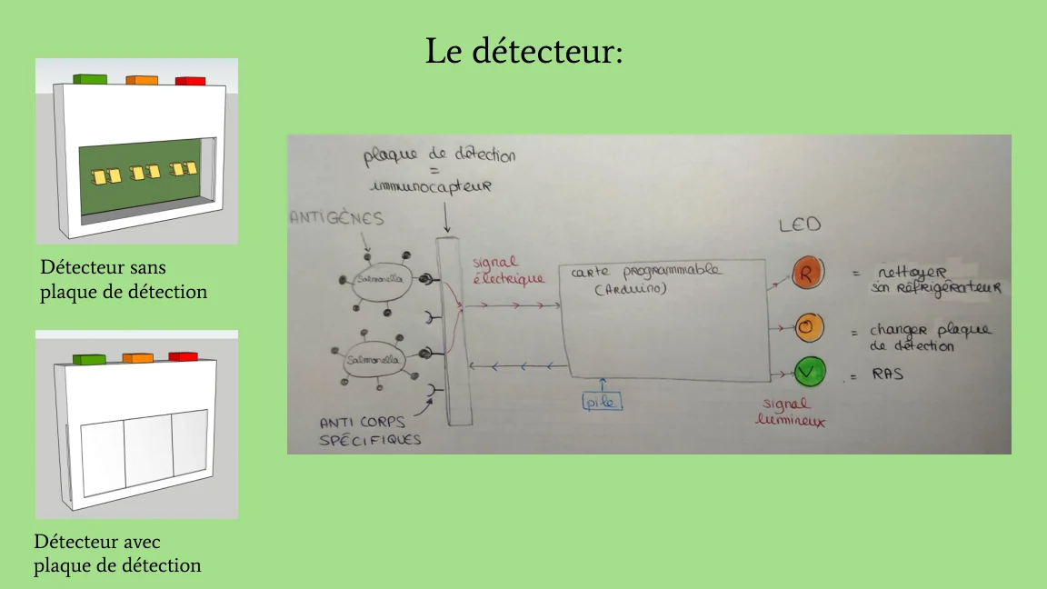 Schéma de principe du détecteur réalisé par l’équipe